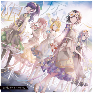 青春禁区视频在线观看
